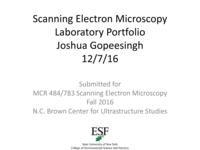 Scanning Electron Microscopy Course Portfolio