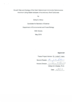 Growth Rate and Ecology of the Giant Heteromorph Ammonite Diplomoceras maximum Using Stable Isotopes of Accretionary Shell Carbonate
