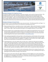Planting Living Snow Fences