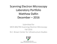 Scanning Electron Microscopy Student Image Portfolio