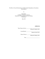 The Effect of Sexual Dichromatism on Subtle Gender Dimorphisms in Ecuadorian Hummingbirds