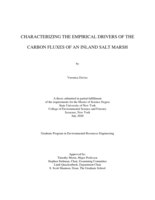 Characterizing the Empirical Drivers of the Carbon Fluxes of an Inland Salt Marsh