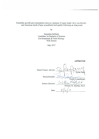 Caterpillar Growth and Consumption Rates as a Measure of Sugar Maple (Acer saccharum) and American Beech (Fagus grandifolia) Leaf Quality following an Icing Event
