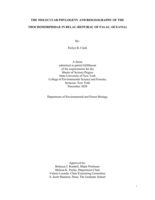 The Molecular Phylogeny and Biogeography of the Trochomorphidae in Belau (Republic of Palau, Oceania)