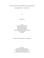 Light and Ultrastructural Microscopy Studies on Coreomyces (Laboulbeniomycetes - Ascomycota)