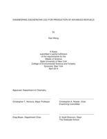 ENGINEERING ESCHERICHIA COLI FOR PRODUCTION OF ADVANCED BIOFUELS