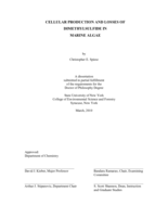 Cellular production and losses of dimethylsulfide in marine phytoplankton