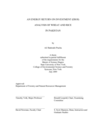 An energy return on investment (EROI)  analysis of wheat and rice in Pakistan