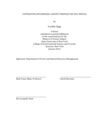 CONTRASTING MYCORRHIZAL GROUPS THROUGH THE SOIL PROFILE