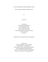 Wetland Mapping and Monitoring Using Multi-Source Remote Sensing Data